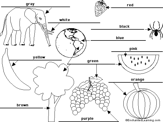 colors to label