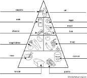 Food Pyramid