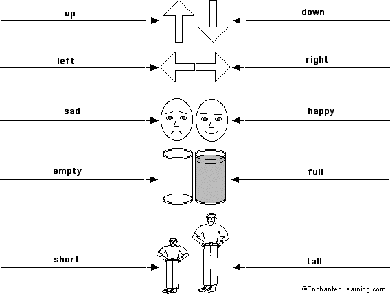 Label the opposites in English - answers