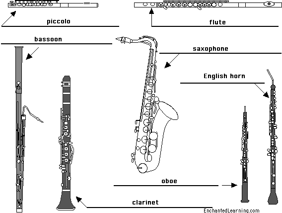 Label woodwinds in English - answers