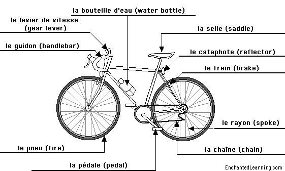 bike parts diagram. Labeled+icycle+parts