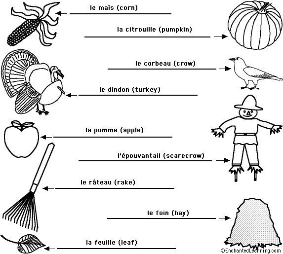 Label the Fall/Autumn Words in French - answers