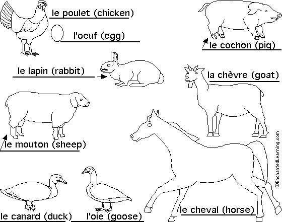 Label Farm Animals in French - answers