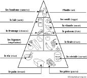 Food Pyramid