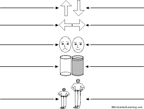 Label the opposites in French