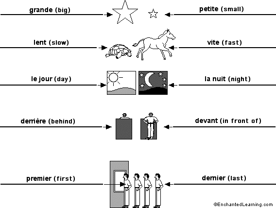 Label the opposites in French - answers