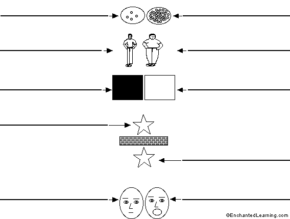 Label the opposites in French