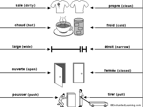 Label the opposites in French - answers