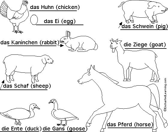 Label Farm Animals in German - answers