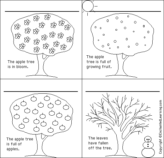 Label the seasons in German