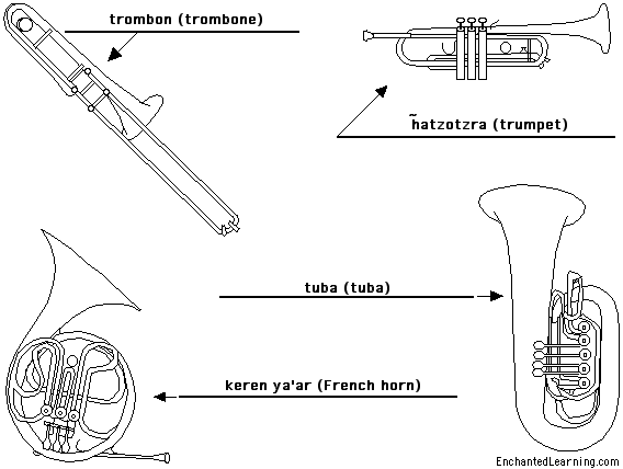 Label the Brass Instruments in Hebrew - answers