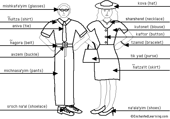 Label the clothes in Hebrew - answers
