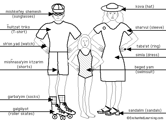 Label the summer clothes in Hebrew - answers