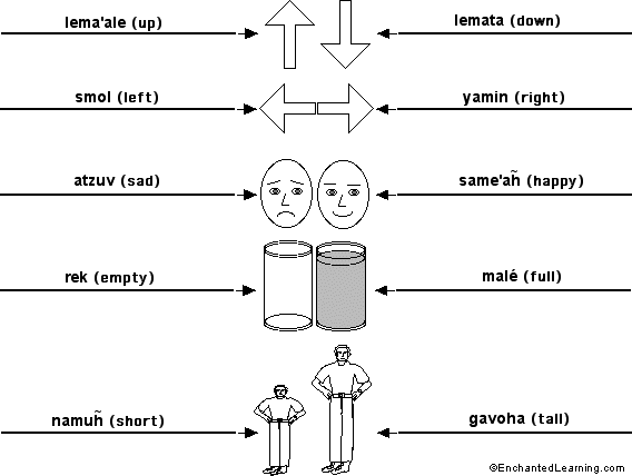 Label the opposites in Hebrew - answers