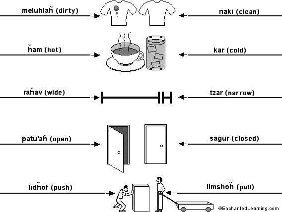 Label the opposites in Hebrew - answers