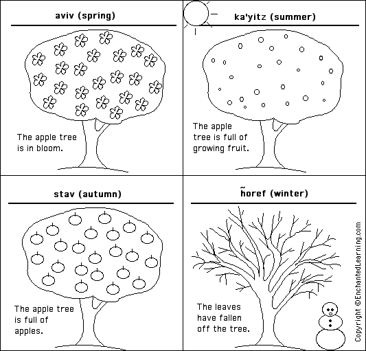 Label the seasons in Hebrew - answers