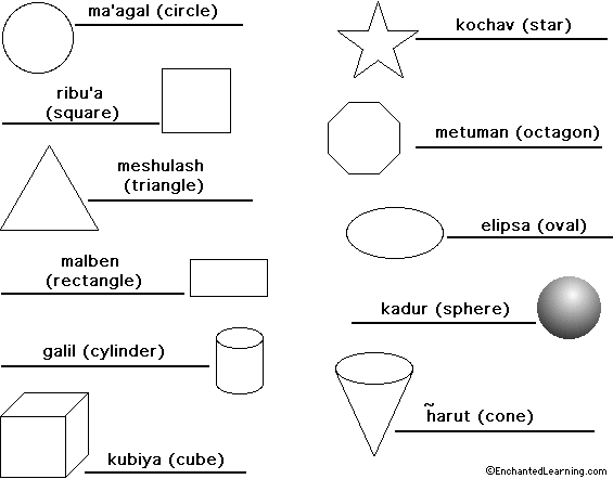 Label the shapes in Hebrew - answers