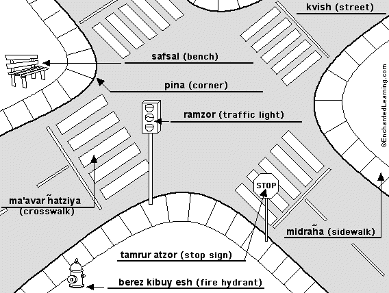 Label the street in Hebrew - answers
