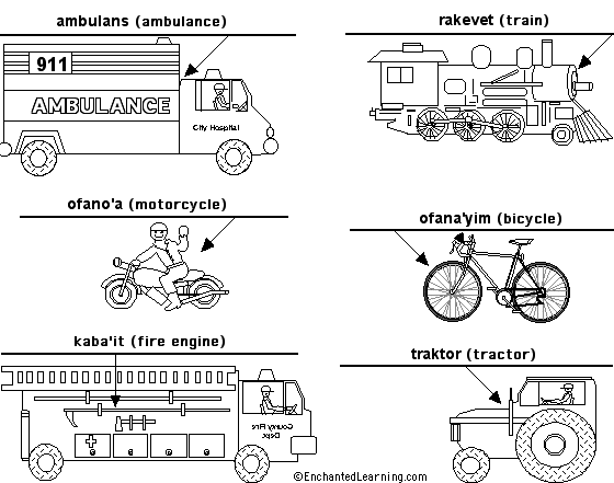 Label the Vehicles in Hebrew - answers