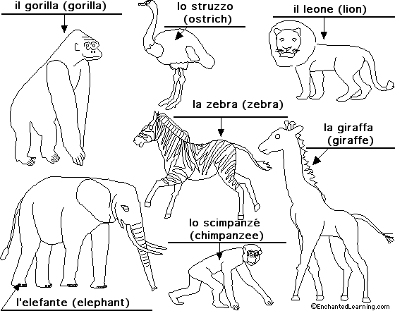 Label African animals in Italian - answers
