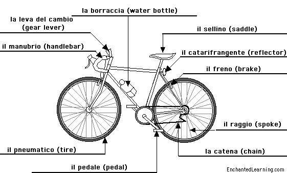 Label the bicycle in Italian - answers