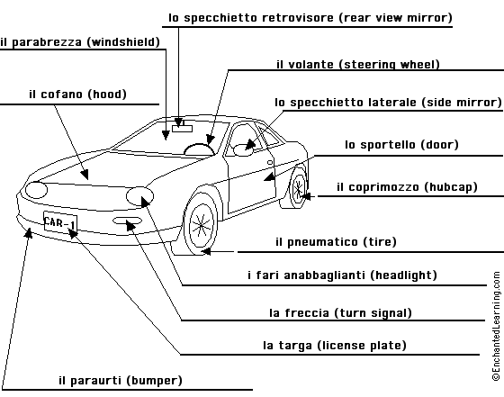 Label the car in Italian - answers