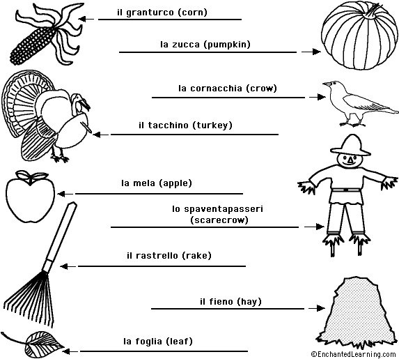 Label the Fall/Autumn Words in Italian - answers