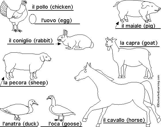 Label Farm Animals in Italian - answers