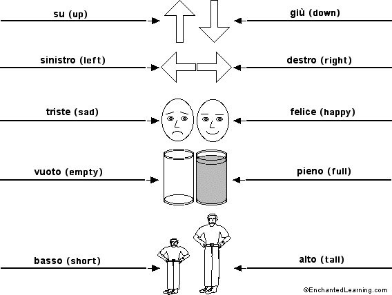 Label the opposites in Italian - answers