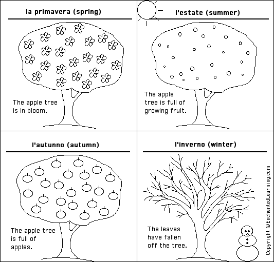 Label the seasons in Italian - answers