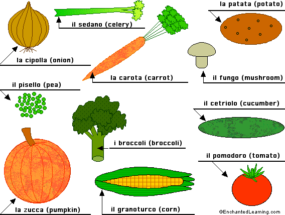 Label the vegetables in Italian - answers