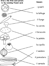Match Words