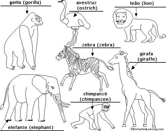 Label African animals in Portuguese - answers