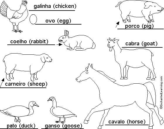 Label Farm Animals in Portuguese - answers