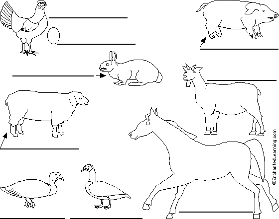 Label Farm Animals in Portuguese