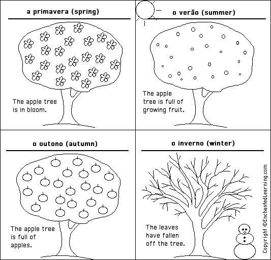 Label the seasons in Portuguese - answers