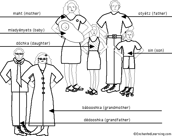 Label the Family in Russian - answers
