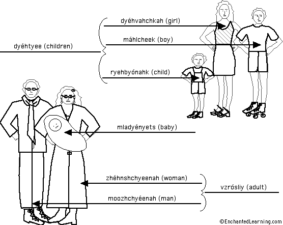 Label the People in Russian - answers