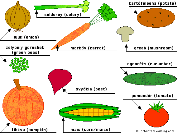 Label the vegetables in Russian - answers
