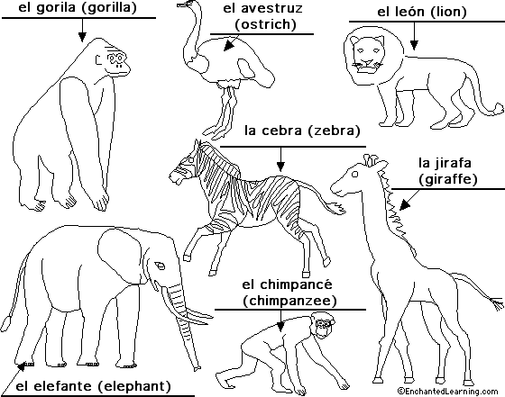 Label African animals in Spanish - answers