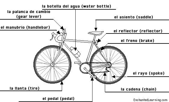 Label the bicycle in Spanish - answers
