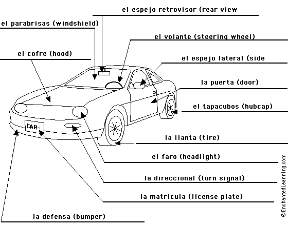 Label the car in Spanish - answers
