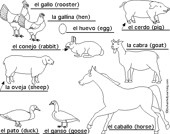 animal poems for children. animal poems ducks, pigs,