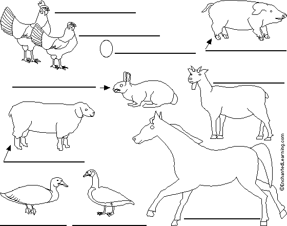 farm animal coloring pages. Label Farm Animals in Spanish
