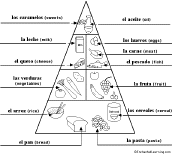 Food Pyramid