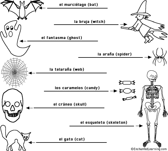 Label the Halloween Words in Spanish - answers