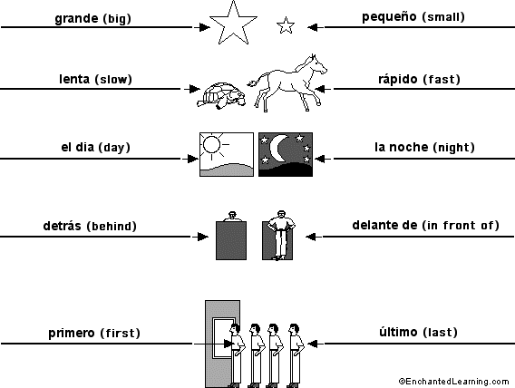 Label the opposites in Spanish - answers