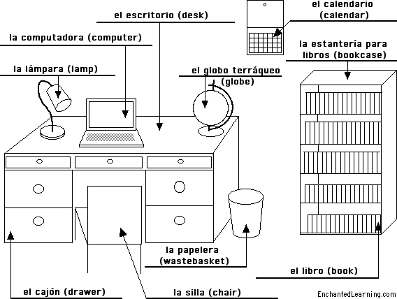 Label the study in Spanish - answers