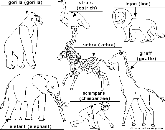 Label African animals in Swedish - answers