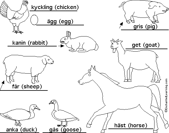 Label Farm Animals in Swedish - answers